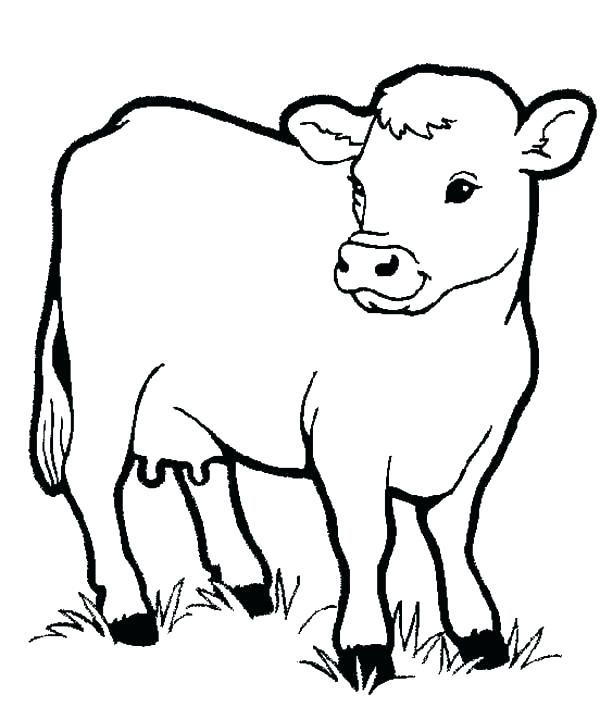 600x707 Heart Coloring Pages