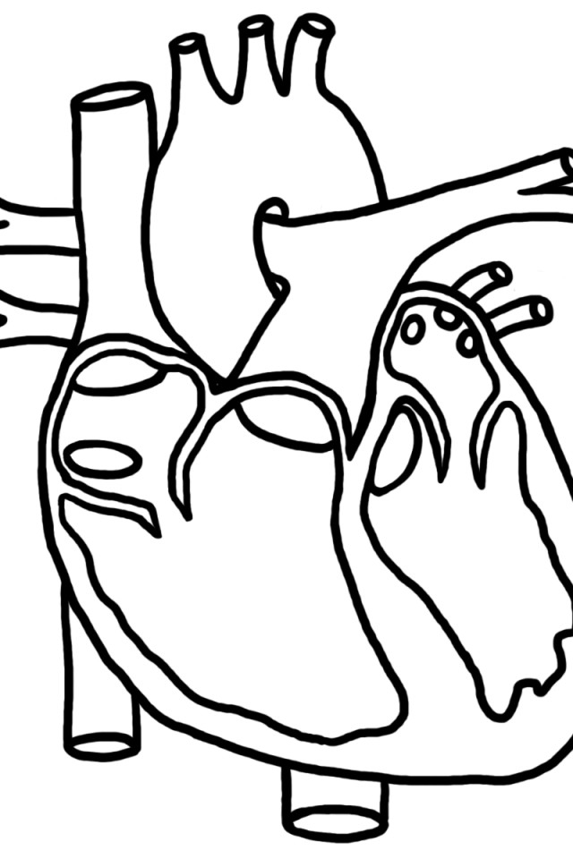 Heart Coloring Pages