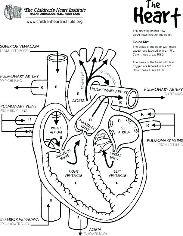 608x786 Printable Heart Coloring Pages