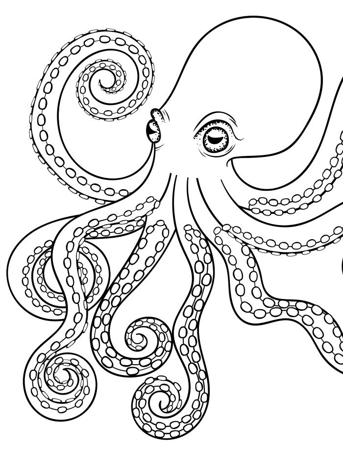 700x924 Heart Tattoo Coloring Pages Awesome Octopus Adult Coloring Page