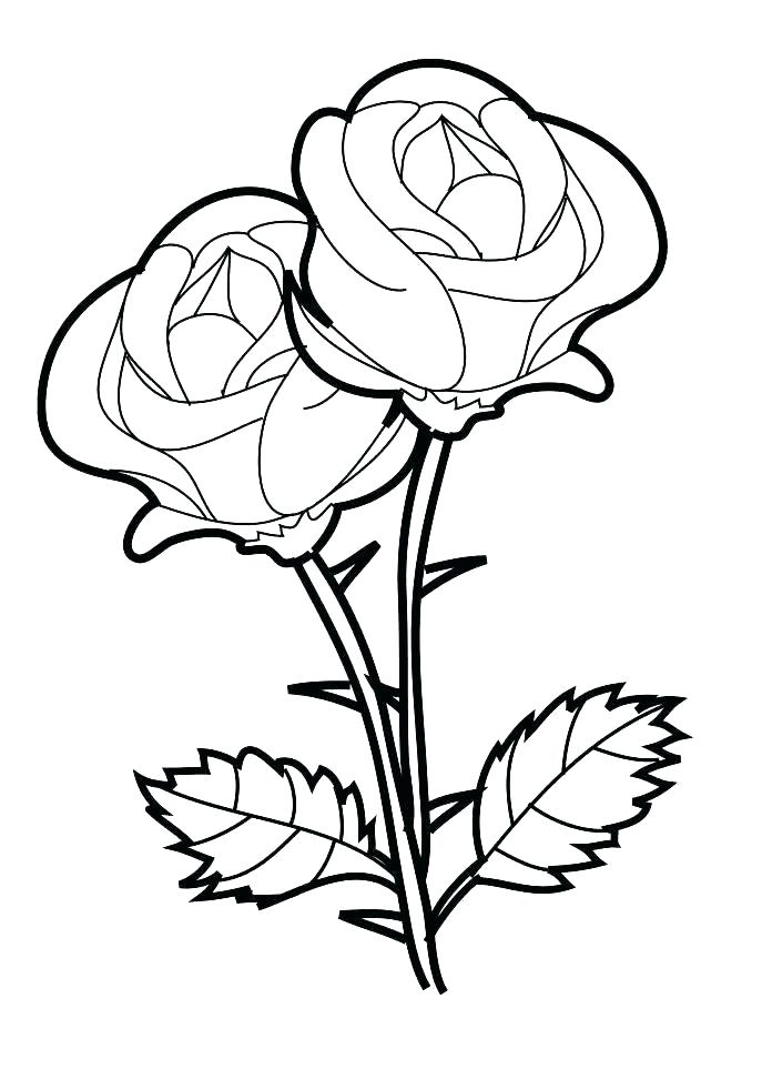 687x972 Heart And Roses Coloring Pages Coloring Pages Of Roses And Hearts