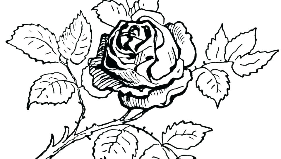 960x544 Heart And Rose Coloring Pages Best Free Coloring Pages Of Roses