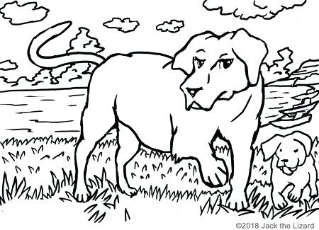 450x325 All Dogs Go To Heaven Coloring Pages Coloring Pages Of Retrievers