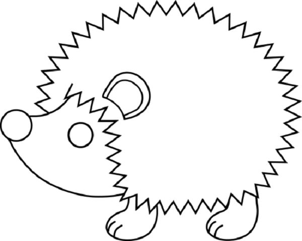 Hedgehog Coloring Page