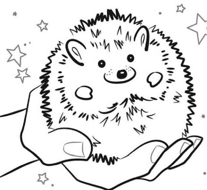 712x654 Critters Coloring Pages