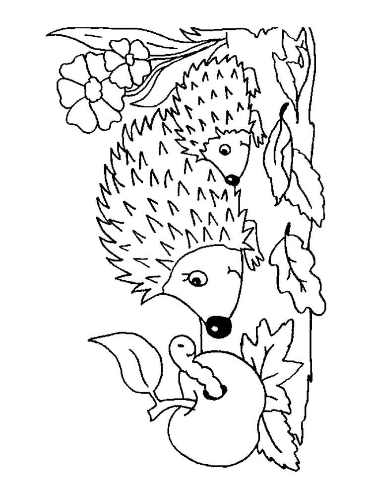 750x1000 Hedgehog Coloring Pages. Download And Print Hedgehog Coloring Pages
