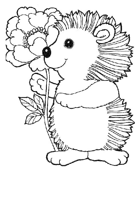 490x690 Kids N 32 Coloring Pages Of Hedgehogs
