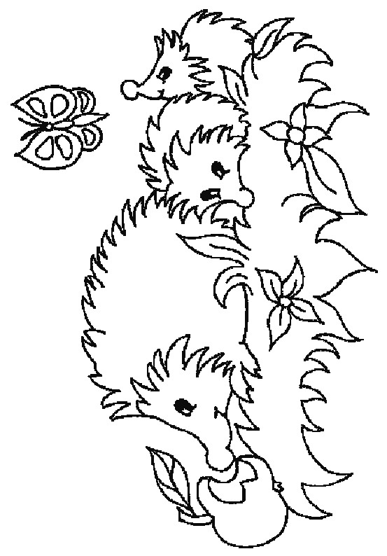 553x794 Kids N 32 Coloring Pages Of Hedgehogs