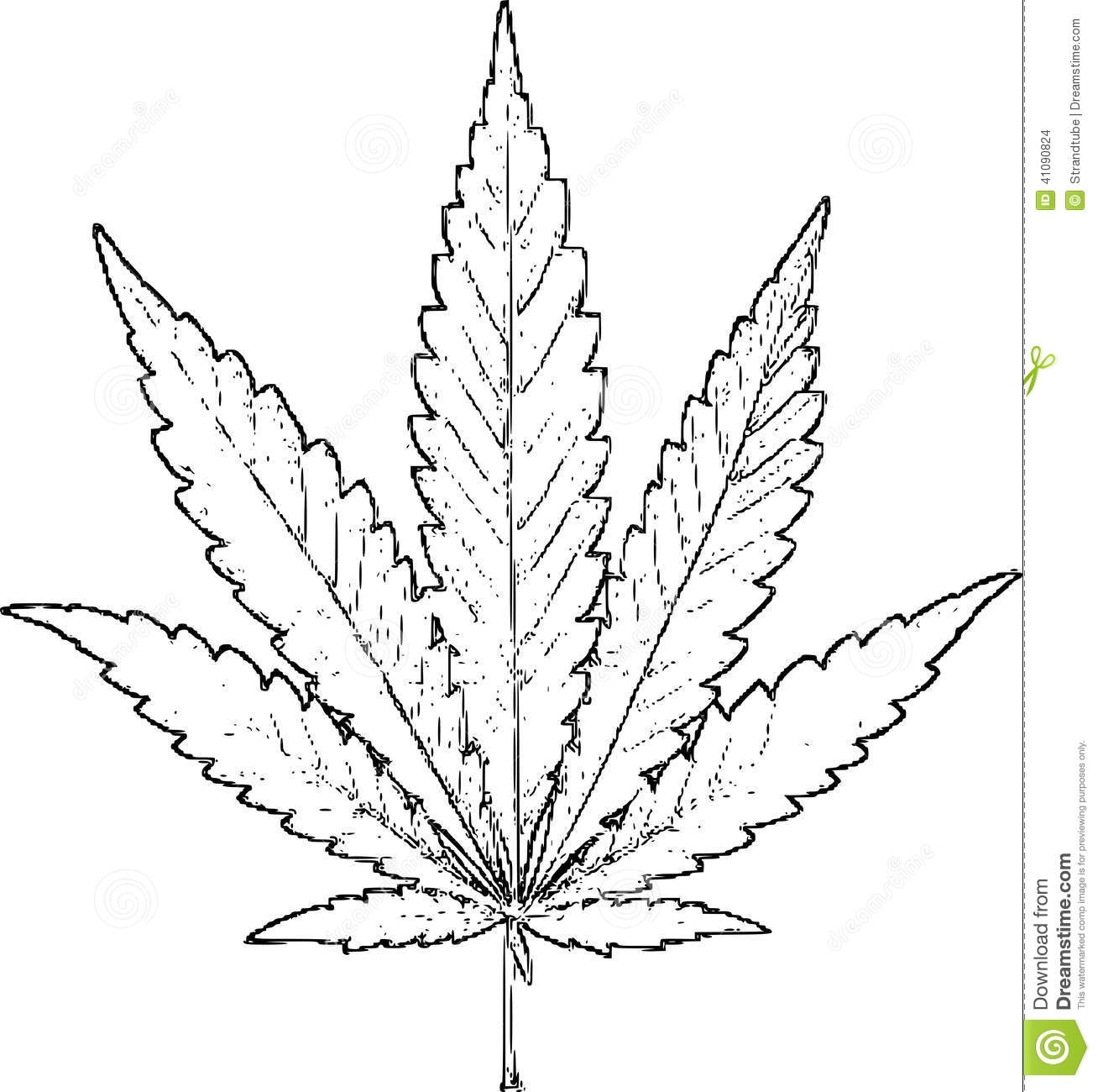 1308x1300 Drawn Cannabis Pencil Pencil And In Color Drawn Cannabis Pencil