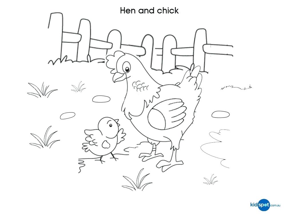 1000x750 Hen Coloring Page Hen And Chicks Coloring Page Mother Hen Coloring