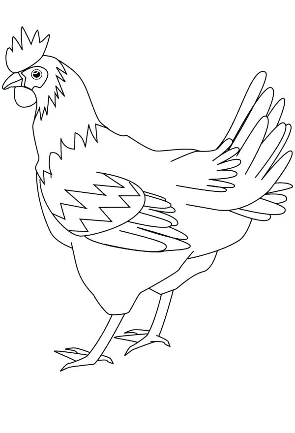 600x880 Hen Coloring Pages Hen Coloring Page Hen And Chicks Coloring Page