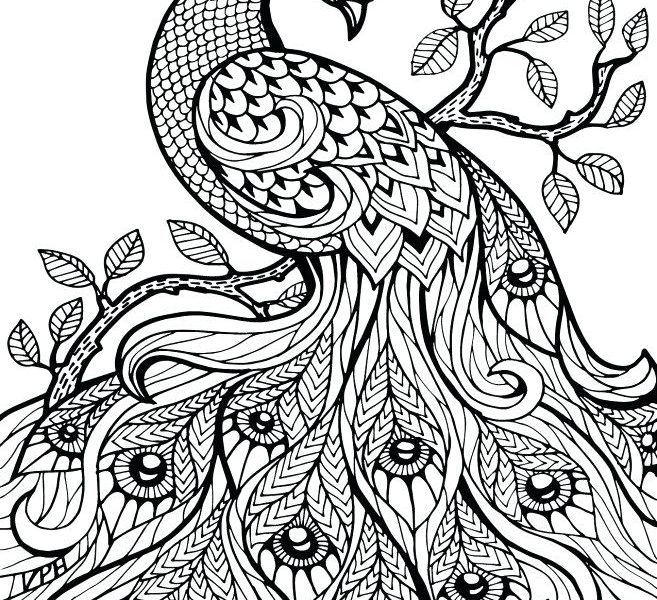 657x600 Henna Coloring Pages Coloring Pages Photos Coloring Pages