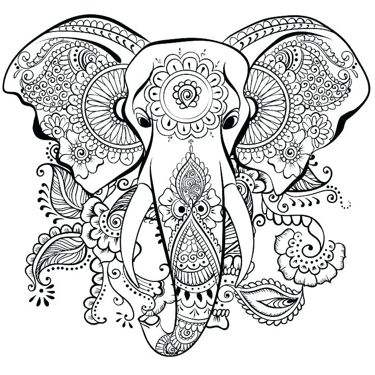 736x737 Coloring Pages Of Elephants Coloring Page Elephant Animals