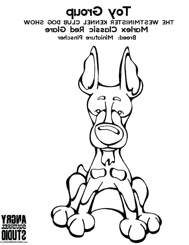612x792 Matisse Coloring Pages Coloring Pages Pin By Angry Squirrel Studio