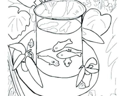 440x330 Matisse Coloring Pages Goldfish Coloring Page Printable Goldfish