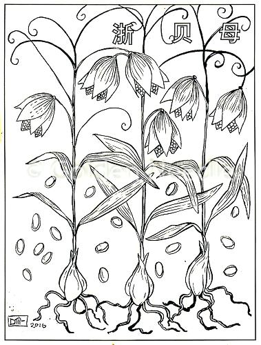 379x500 Herb Coloring Pages Herb Apothecary A Coloring Book Of Herbs Moll