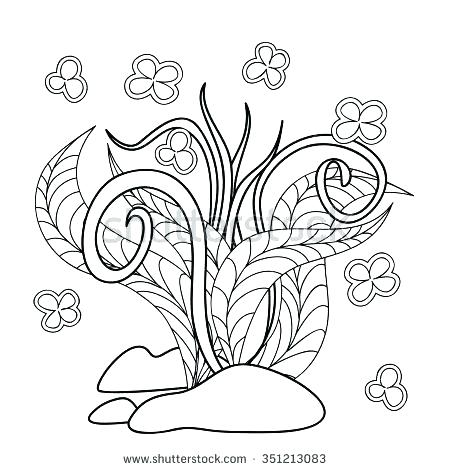 450x470 Herb Coloring Pages Herb Garden Colouring Page
