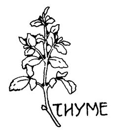 236x264 Coloring Pages For Embroidery Herbs