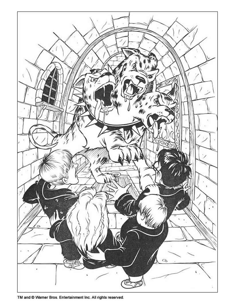 820x1060 Nice Harry Potter Coloring Pages Harry Potter Ron Weasley Home