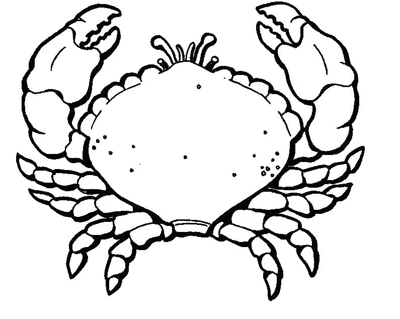 795x634 Crab Coloring Pages Crab Coloring Pages Mesmerizing Crab Coloring