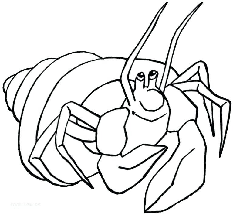 768x708 Download Hermit Crab Coloring Pages Download Hermit Crab Coloring