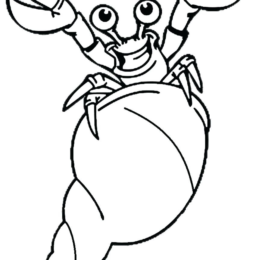 850x864 Hermit Crab Coloring Pages Crab Coloring Pages Also Hermit Crab