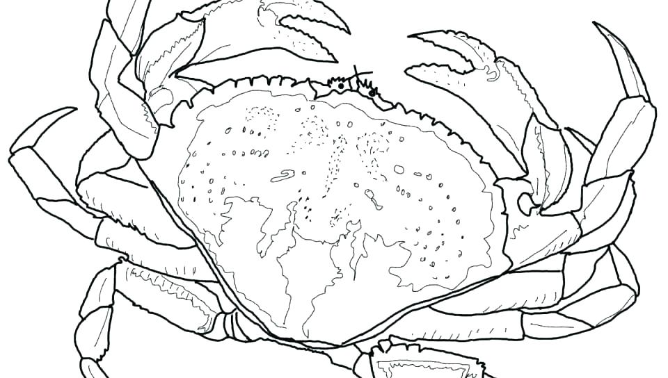 960x544 Hermit Crab Coloring Pages Hermit Crab Coloring Pages Crab