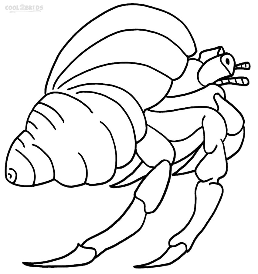 850x904 Printable Hermit Crab Coloring Pages For Kids Cool2bkids