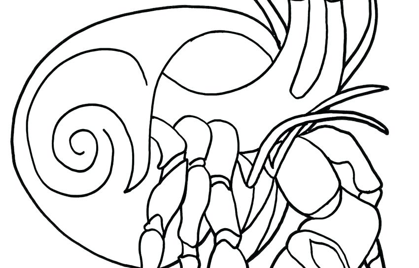 850x544 Hermit Crab Coloring Pages