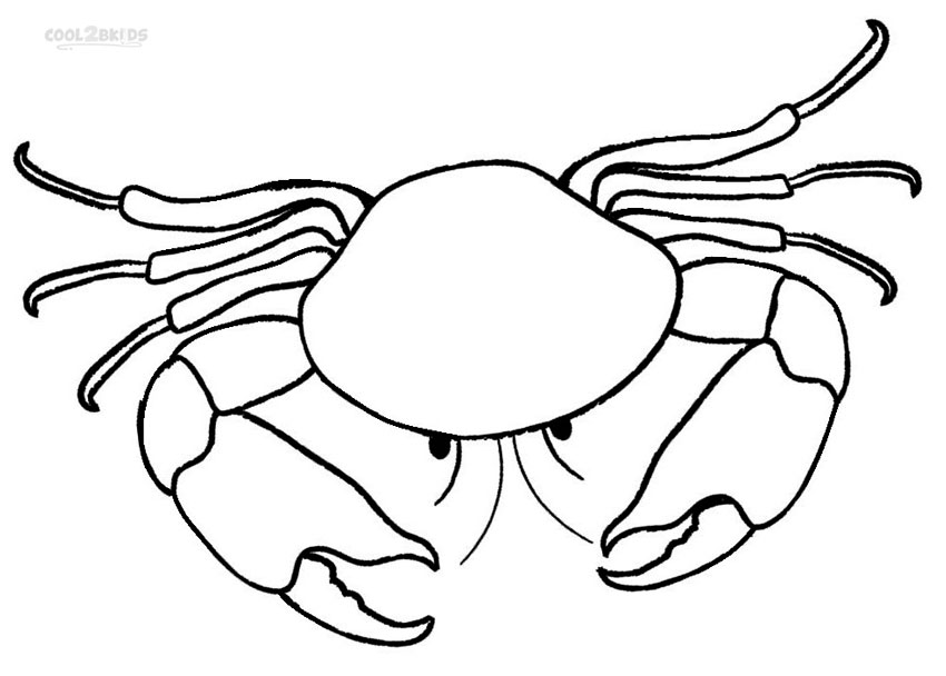 850x608 Chic Inspiration Crab Coloring Pages Hermit Crab Coloring Pages