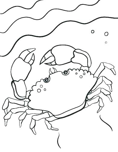 392x507 Crab Coloring Page Crab Coloring Pages To Print Crab Coloring Page
