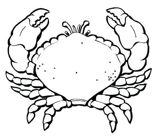 556x476 Crab Coloring Page Free Printable Crab Coloring Pages For Kids