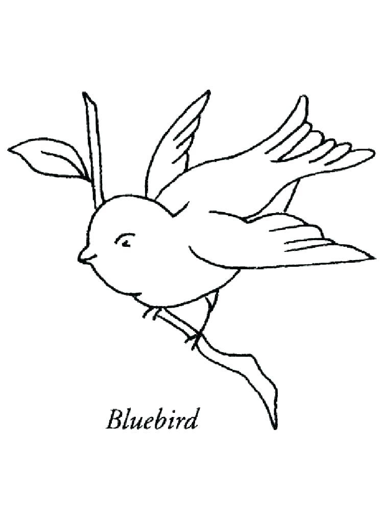 750x1000 Great Blue Heron Coloring Page Pin Drawn Bird