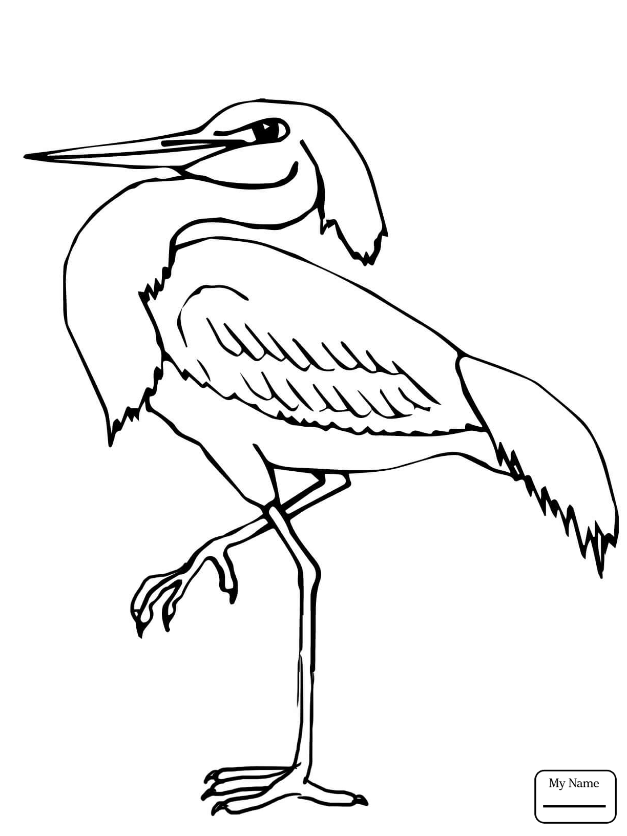 1224x1632 Hurry Blue Heron Coloring Page Free Printable Pages 2310
