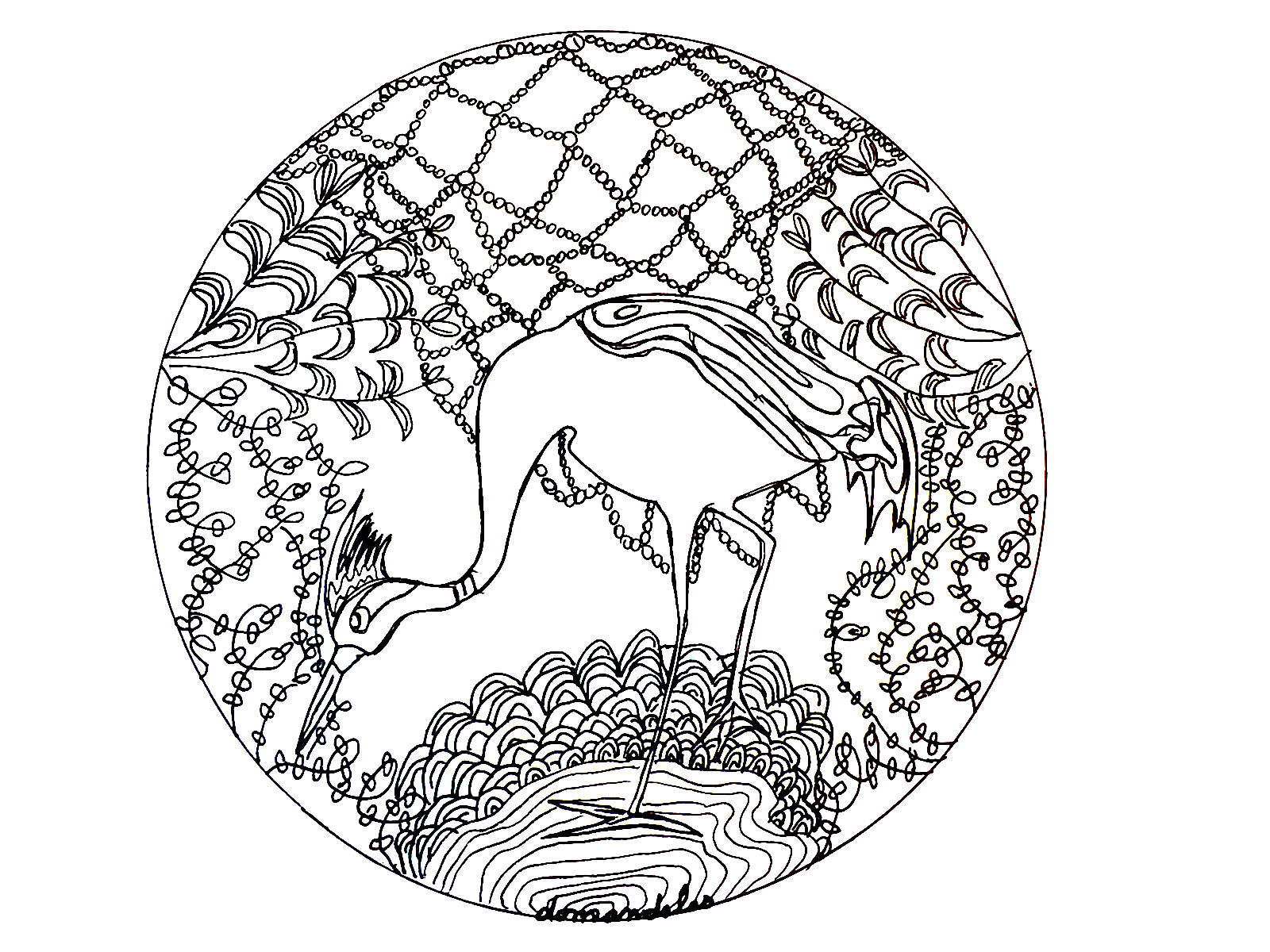 1600x1200 Mandala Heron