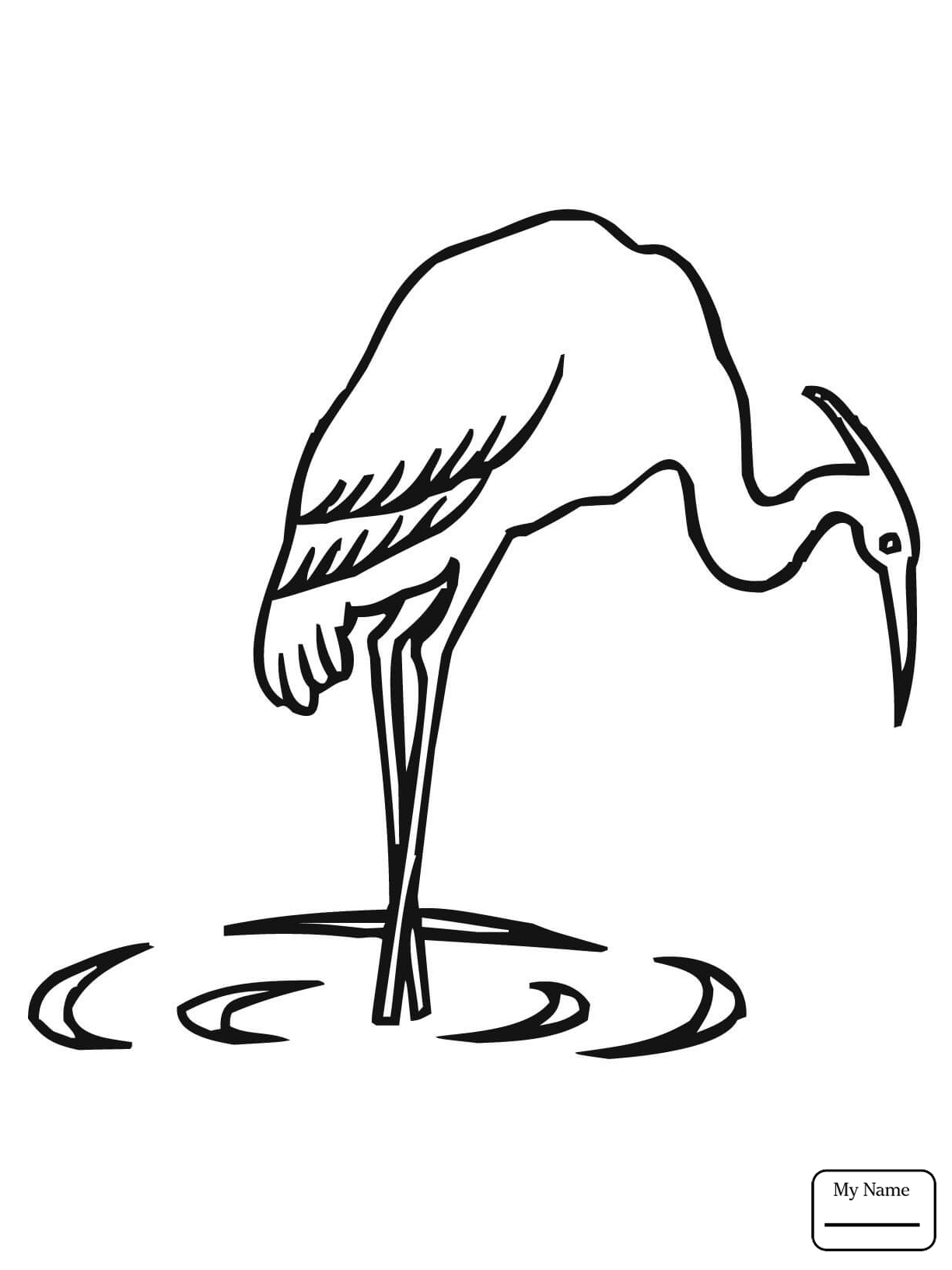 1224x1632 Selected Blue Heron Coloring Page Great Drawin