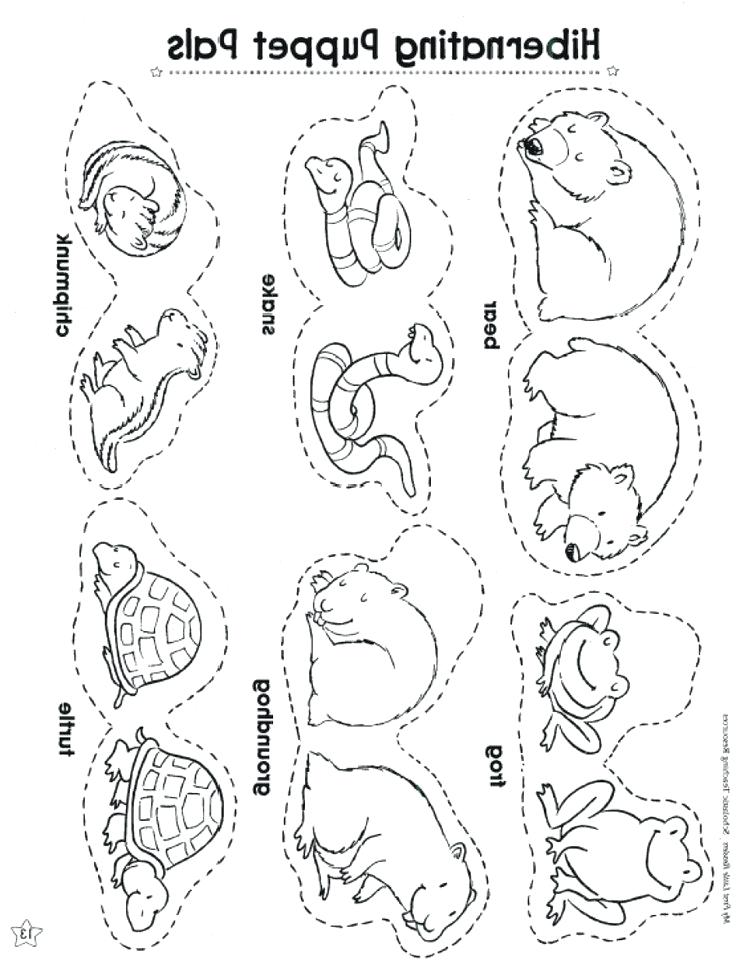 736x968 Hibernating Animals Coloring Pages Hibernating Bear Coloring Page
