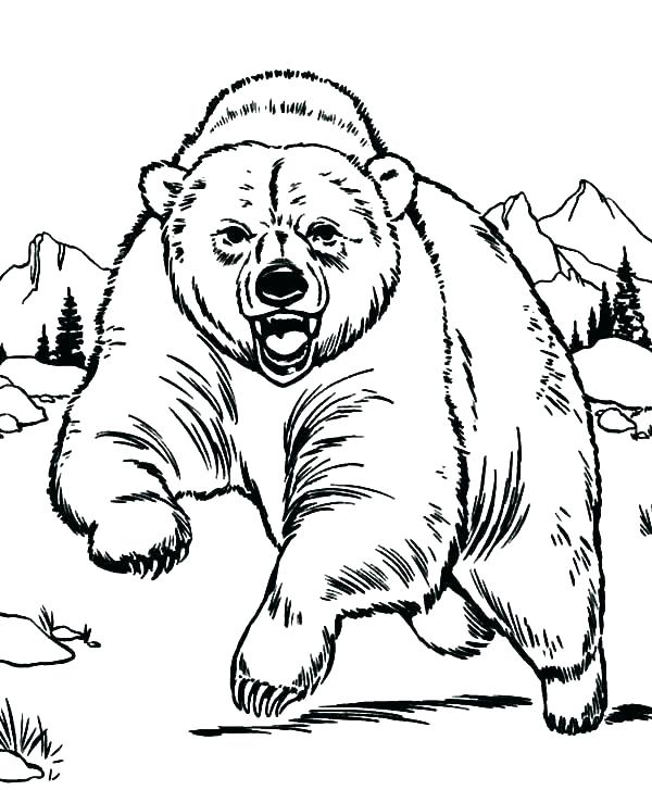 600x727 Hibernating Animals Coloring Pages Hibernation Coloring Pages