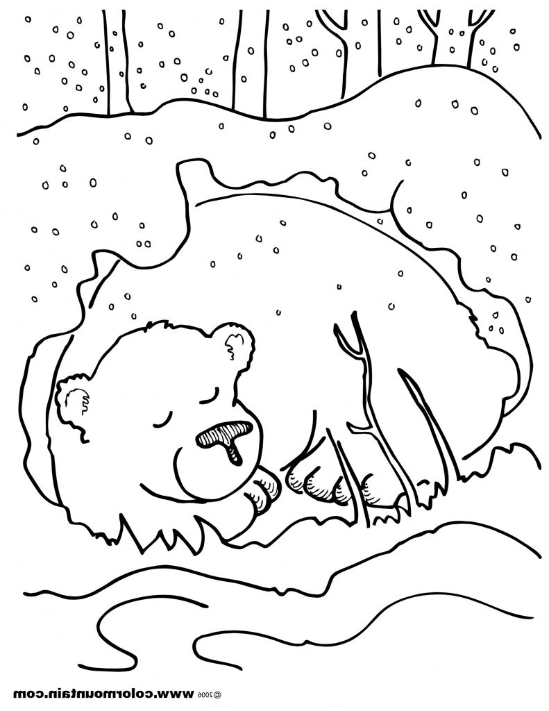 791x1024 Hibernating Animals Coloring Pages Qlyview Com Incredible