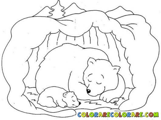 530x395 Hibernation Bear Colouring Pages Printables School