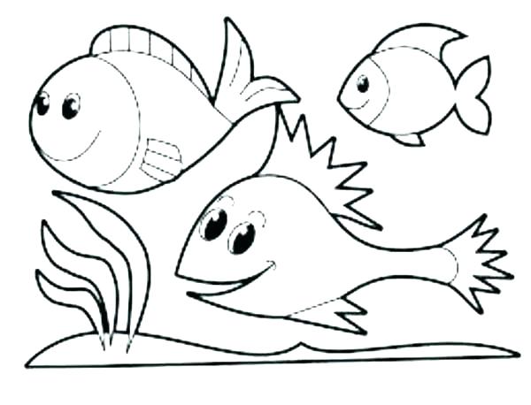 600x458 Images About Winter On Coloring Preschool Coloring Hibernating