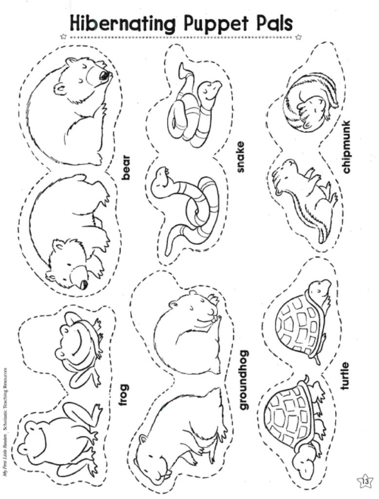 778x1024 Hibernating Bear Coloring Page