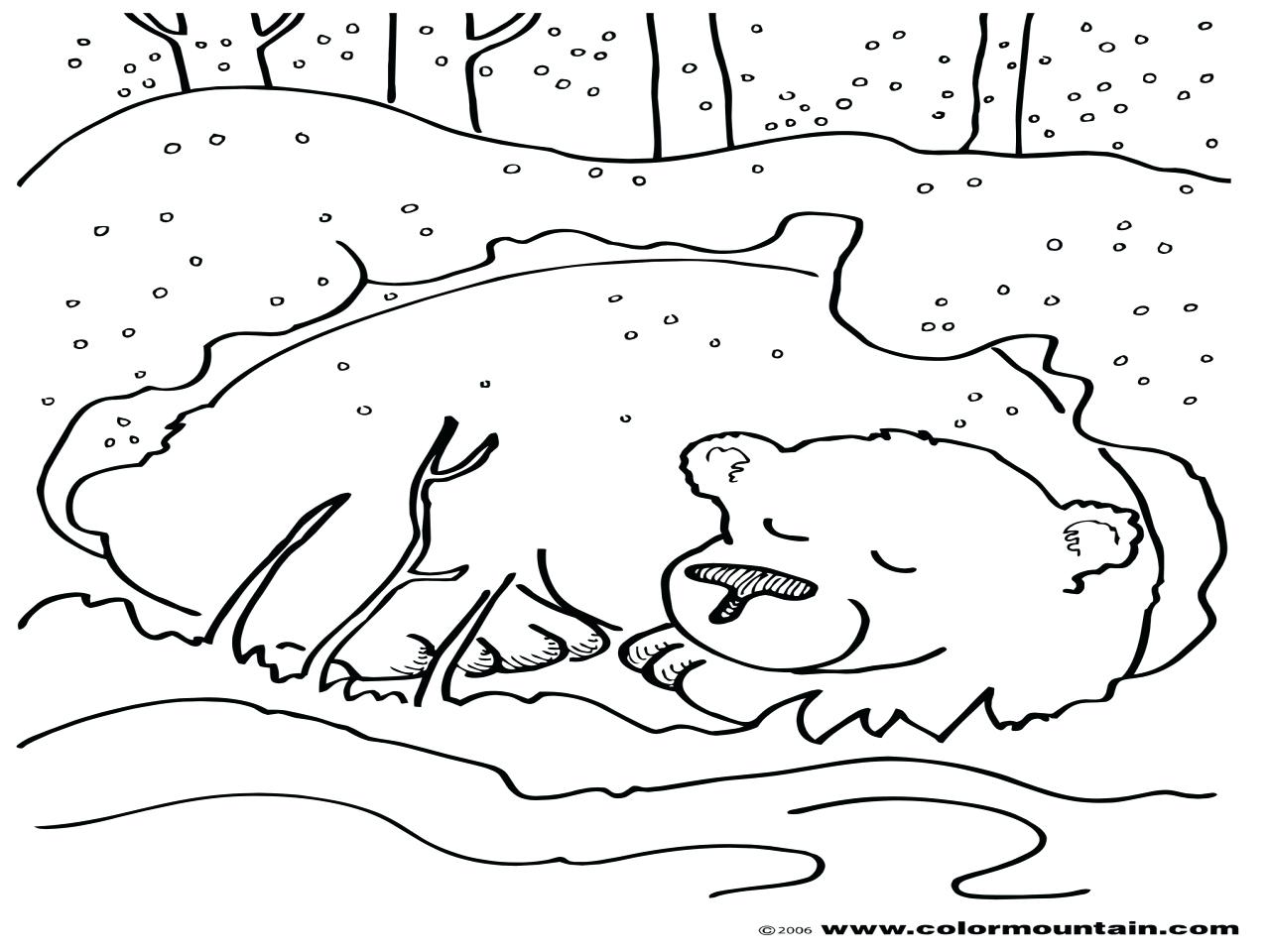 1280x960 Hibernating Bear Coloring Page