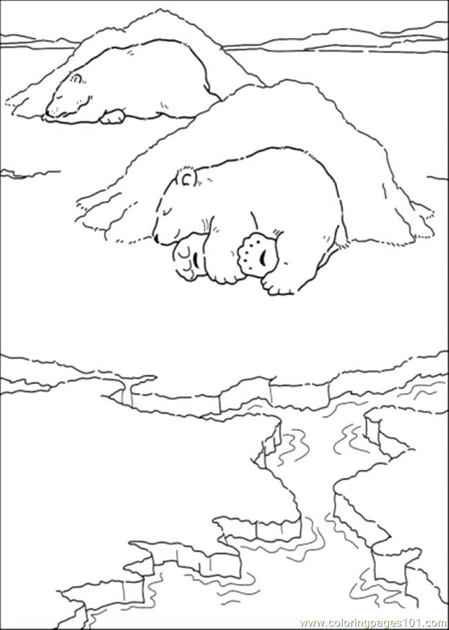650x912 Hibernating Bear Coloring Page Animals That Hibernate Bear Cave