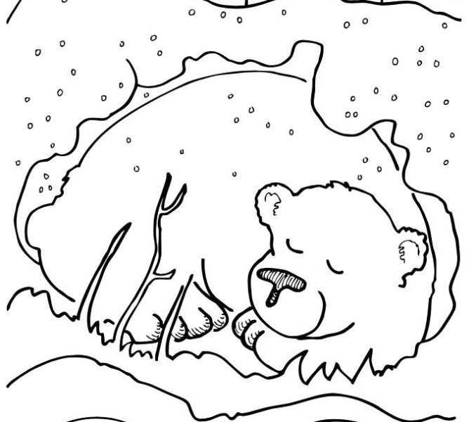 678x600 Hibernation Coloring Pages 20 Hibernating Animals Coloring Pages