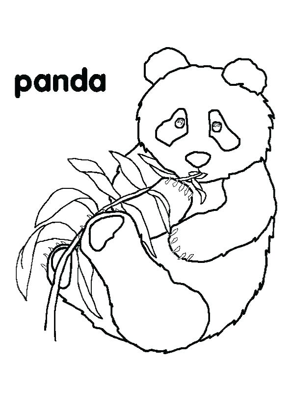 595x842 Hibernation Coloring Pages Hibernating Bear Coloring Pages Free
