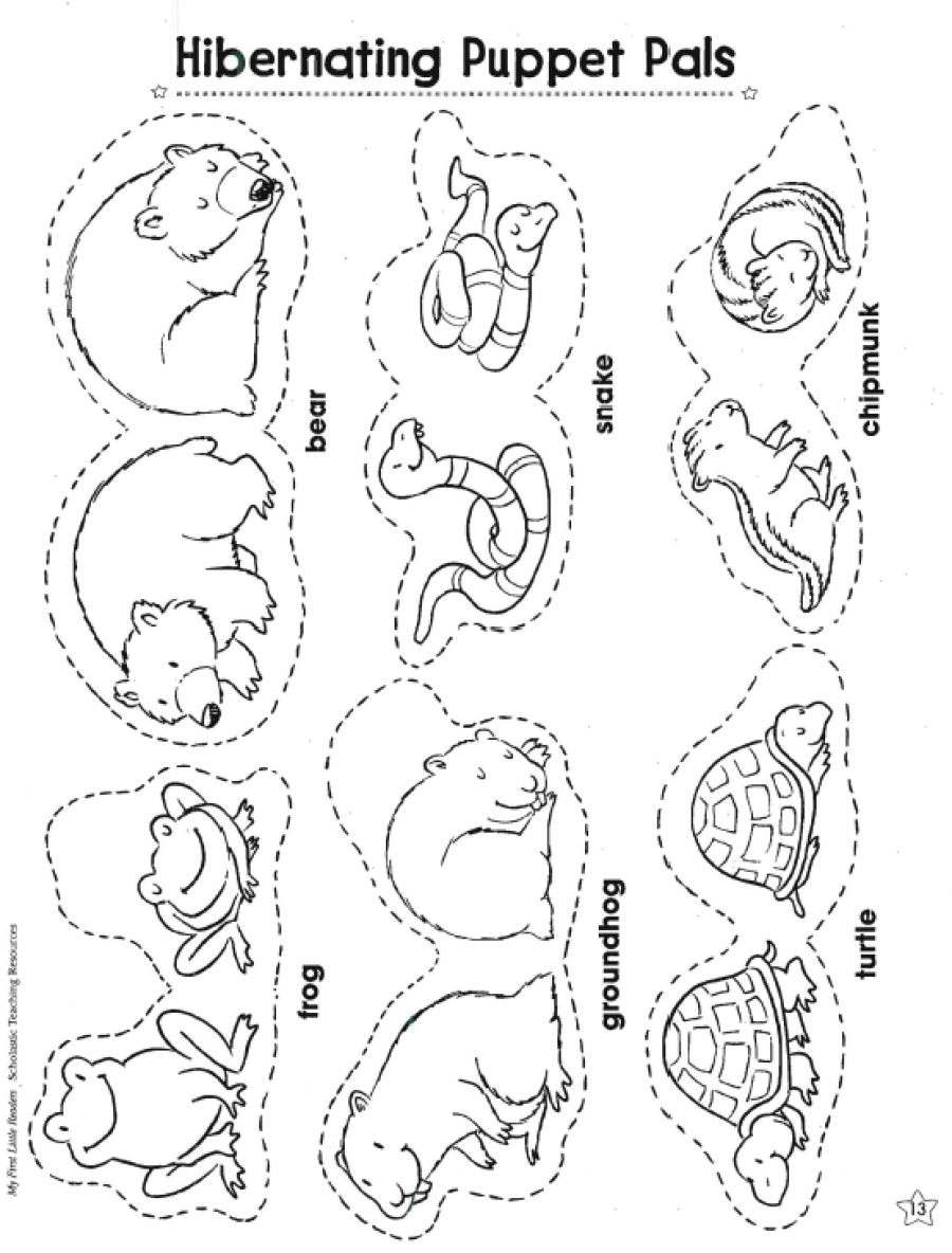 900x1184 Printable Pictures Of Animals That Hibernate Hibernating Animals