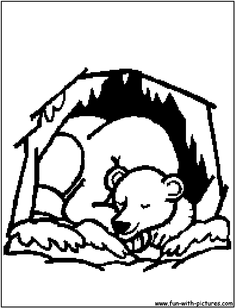 800x1050 Bears Hibernating Clipart Images Erdei Animals