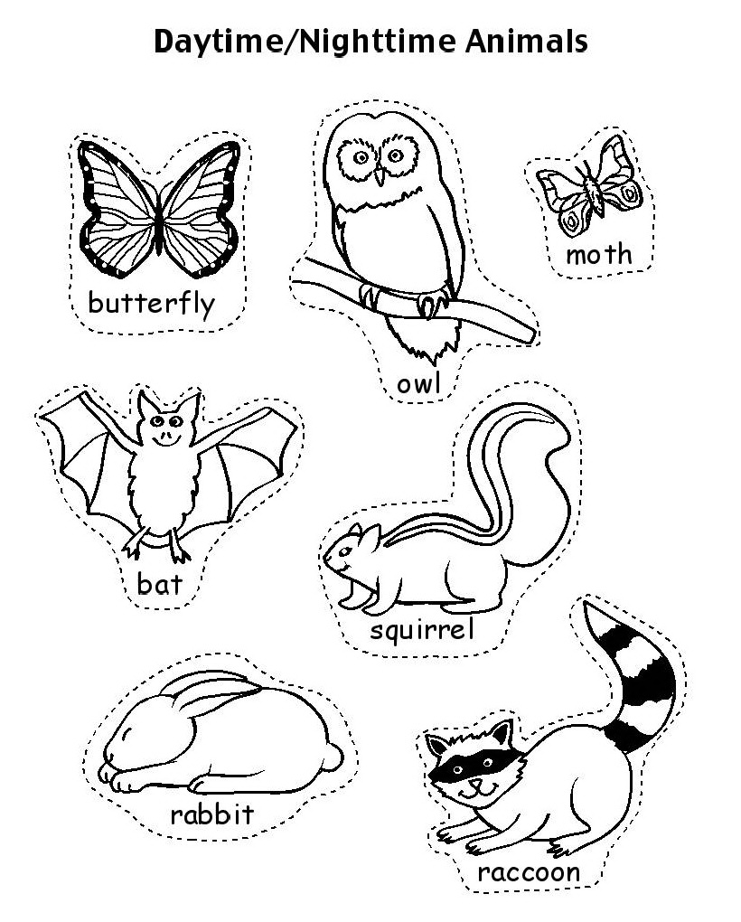 820x1020 Free Hibernating Animals Coloring Pages Page Bright