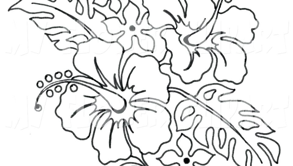 960x544 Hibiscus Coloring Pages